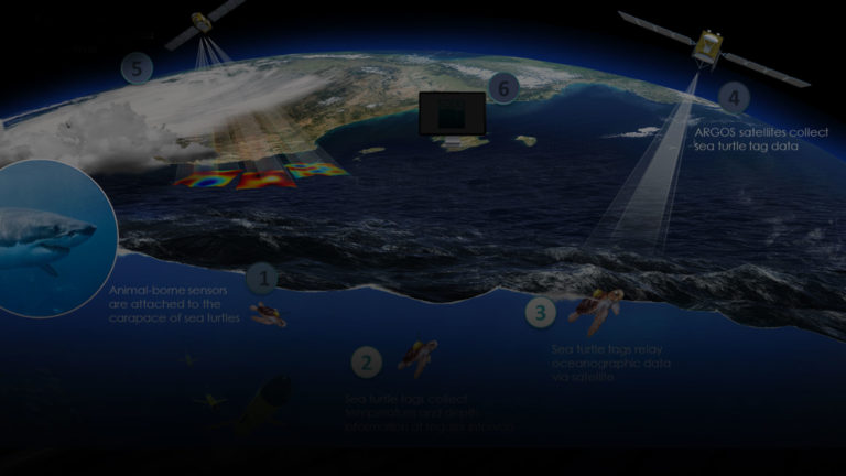 bg8-satellites3