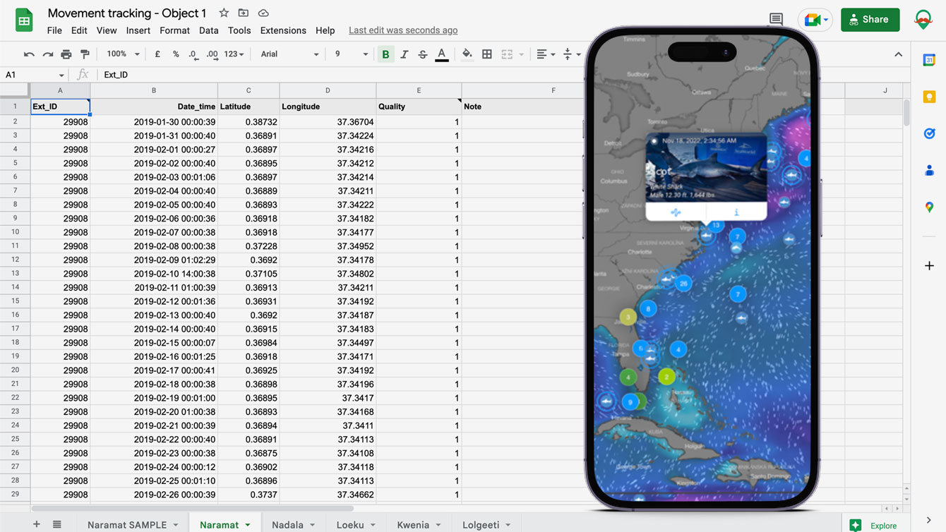 gps_sheets_import_phone