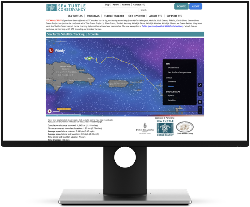 sea_turtles_tracker_embed_wind3b