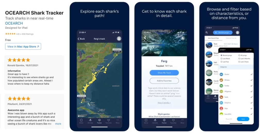 OCEARCH has 2.1M registered users in the app we created and has seen a 70% increase in contributions