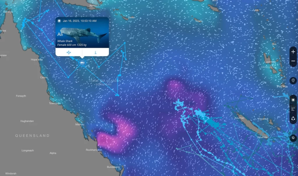 Wildlife tracking helps us understand climate and ocean changes