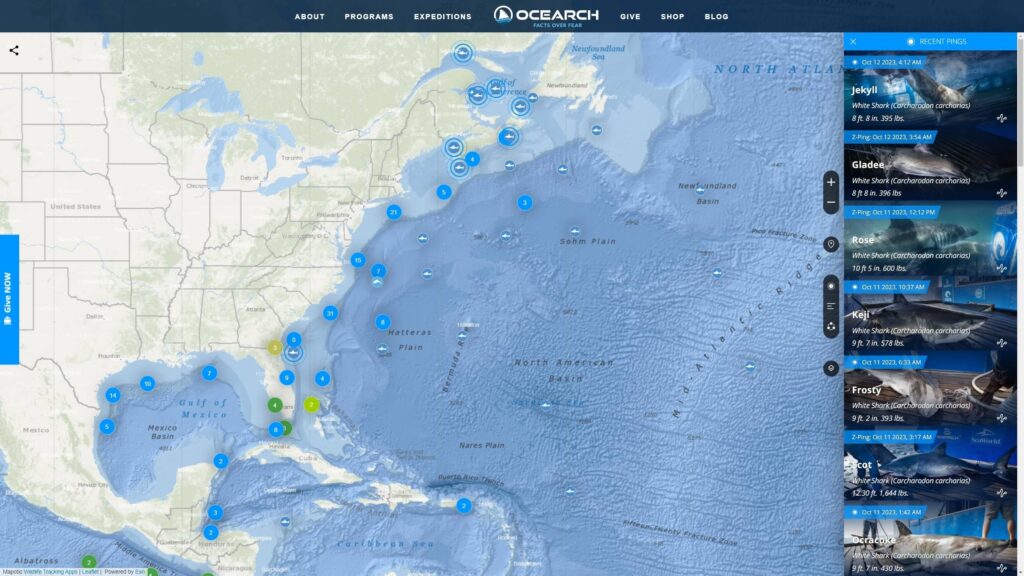 map custom domain/website example