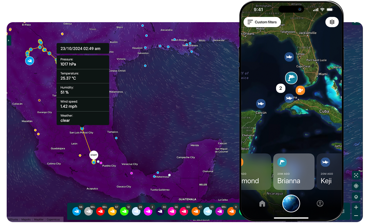 Weather map layer in mapping web application