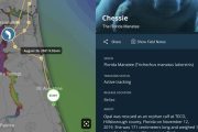 animal-tracking-manatees-animal-details.jpg
