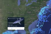 animal-tracking-see.jpg