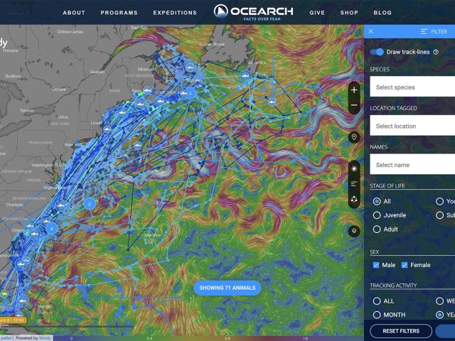 ocearch1