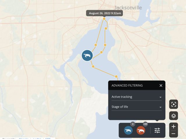 wildlife_telemetry_tracking_visualisation_filters2