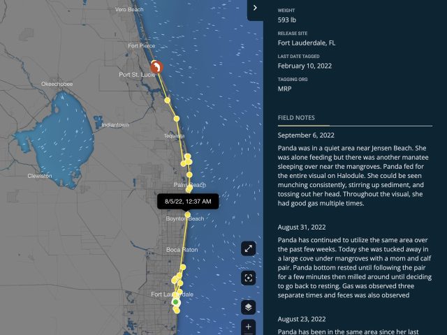 wildlife_telemetry_tracking_visualization_meta_data2